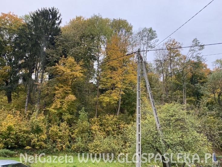 Porządki na wzgórzu zamkowym