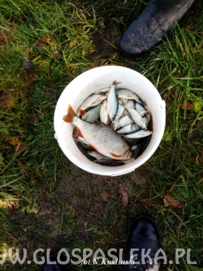 Ostatnie GP Zakrzewka II