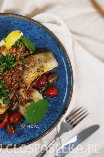 NOVA padziernik 2021