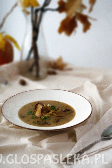 NOVA padziernik 2021