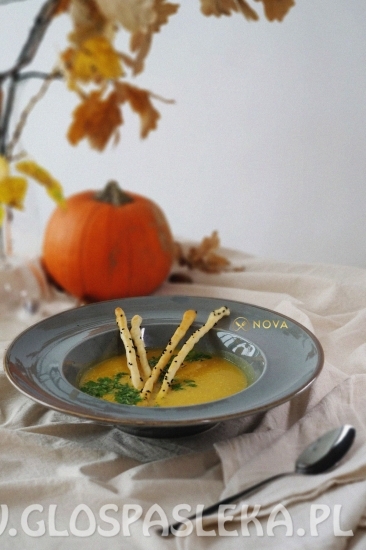 NOVA padziernik 2021