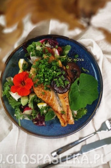 NOVA padziernik 2021