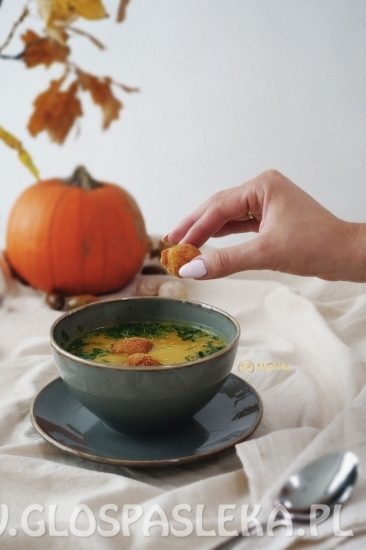 NOVA padziernik 2021