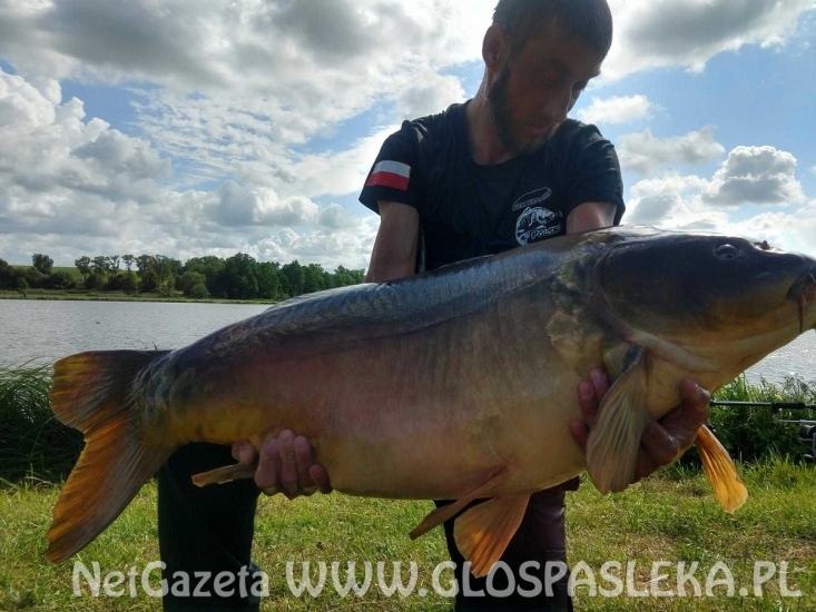 Amur na koniec sezonu