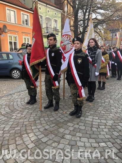 Obchody 103. rocznicy odzyskania niepodległości w ZSEiT