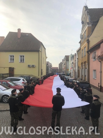 Obchody 103. rocznicy odzyskania niepodległości w ZSEiT