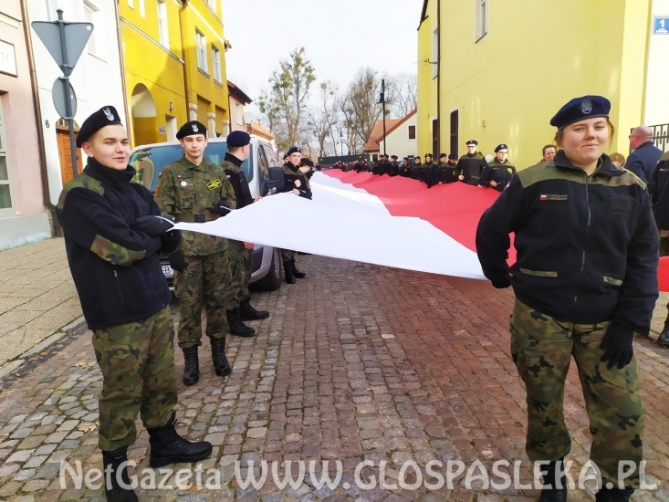 Obchody 103. rocznicy odzyskania niepodległości w ZSEiT
