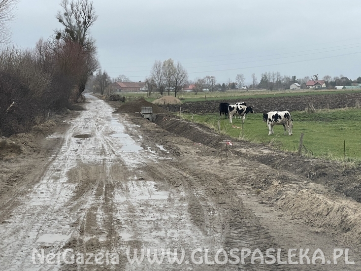 Droga do Kolonii Marianka