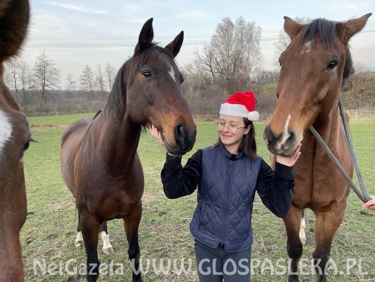 Mikołajki na koniach