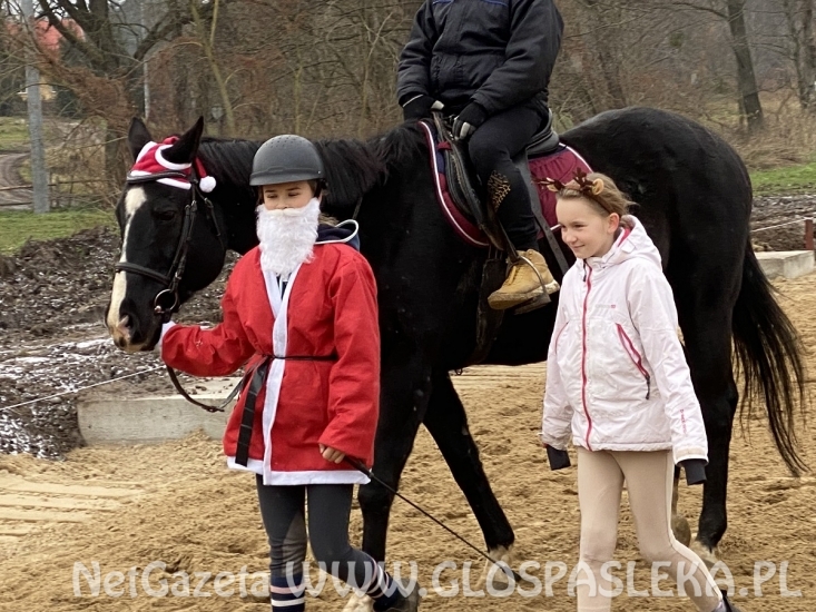 Mikołaje i konie