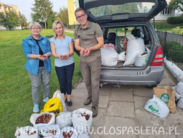 Wieści z Przedszkola Samorządowego nr 1 w Pasłęku