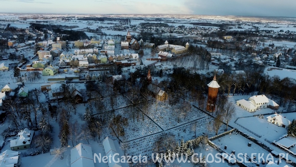 Pasłęk w zimowej szacie