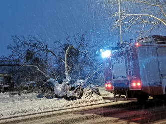 DRE drzwo 17.01.2022