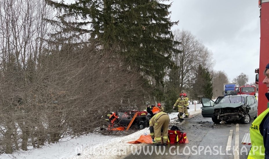 Śmertelny wypadek w Kupinie