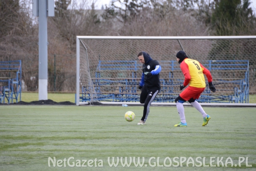 Drugi sparing Polonii