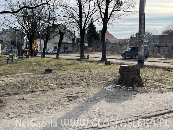 Przebudowa parku – początek prac