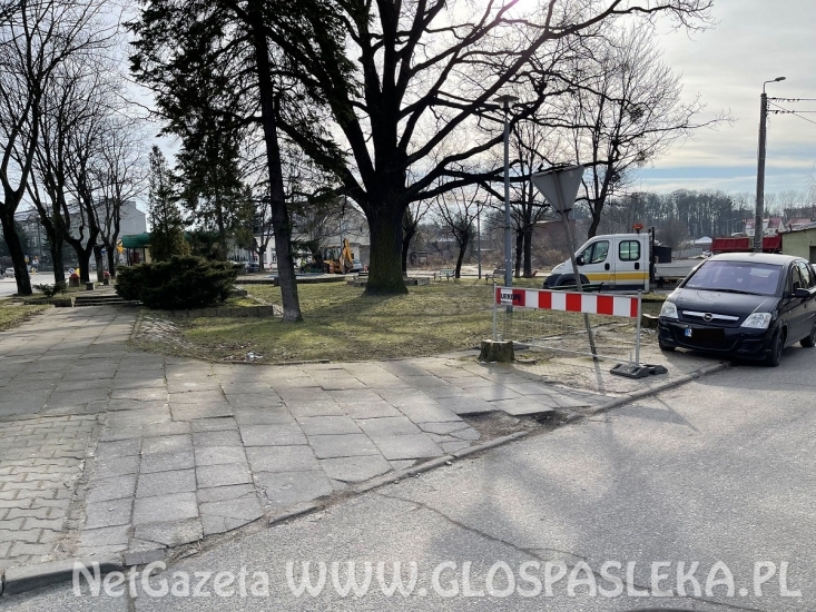 Przebudowa parku – początek prac