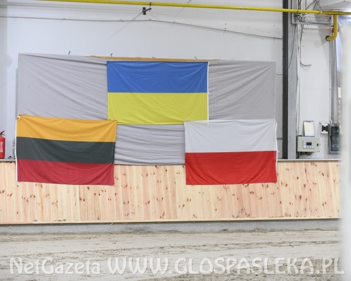 Regionalne skakanie amazonek z Nenii