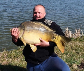 Karp na truskawkę i mielonkę