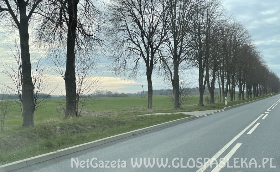 Nowe tereny pod budownictwo jednorodzinne