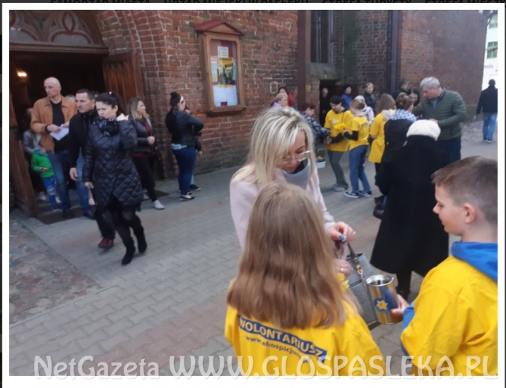 Żonkilowe Pola 2022