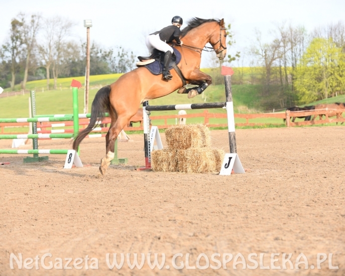 Kaja Pietrzak wygrywa konkurs memoriałowy