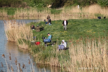 Feederowe Mistrzostwa Koła PZW 2022