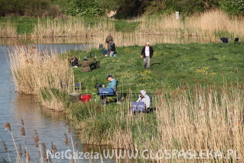 Feederowe Mistrzostwa Koła PZW 2022