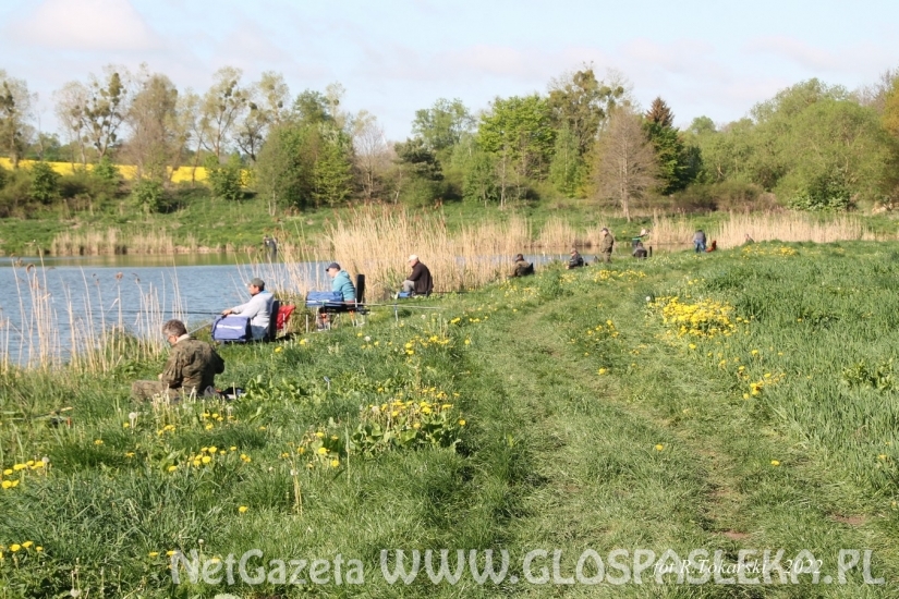 Feederowe Mistrzostwa Koła PZW 2022