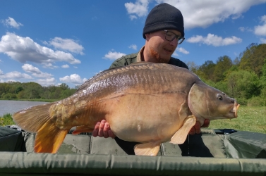 Karpie z Zakrzewka II