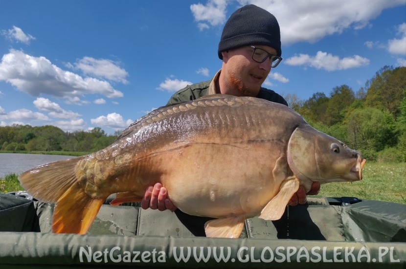 Karpie z Zakrzewka II