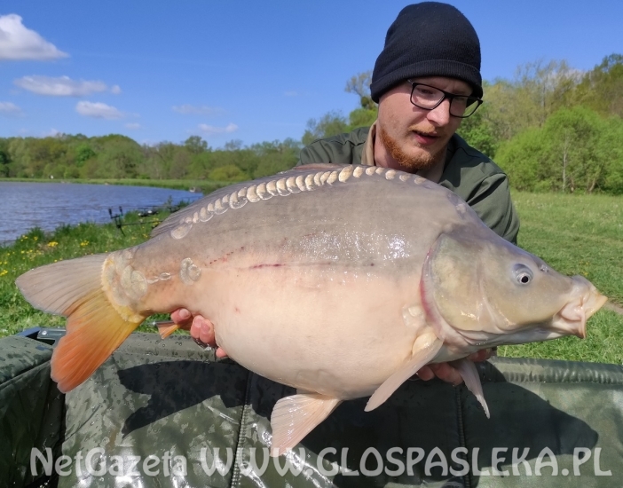 Karpie z Zakrzewka II