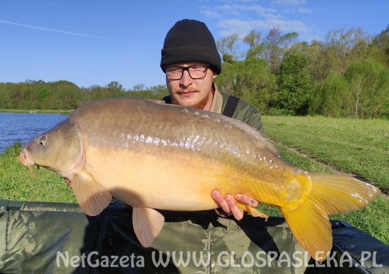 Karpie z Zakrzewka II