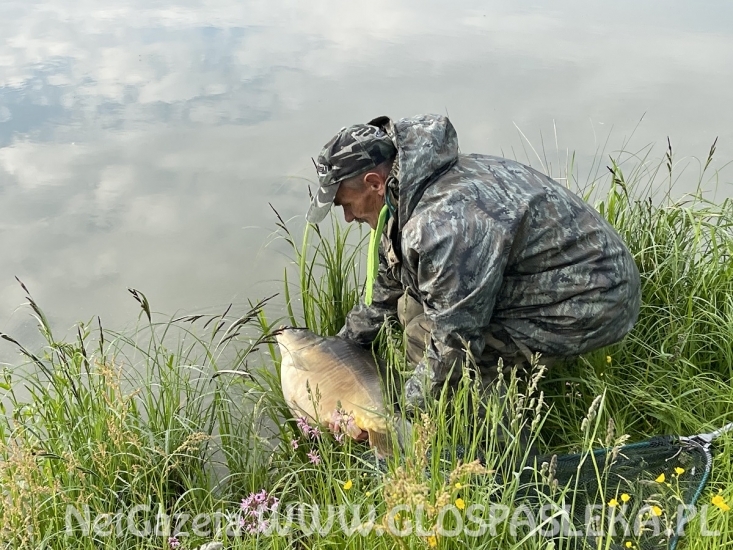 Karp na delikatny zestaw
