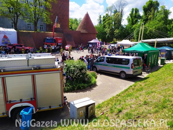 Kadeci ZSEiT na wojskowych piknikach