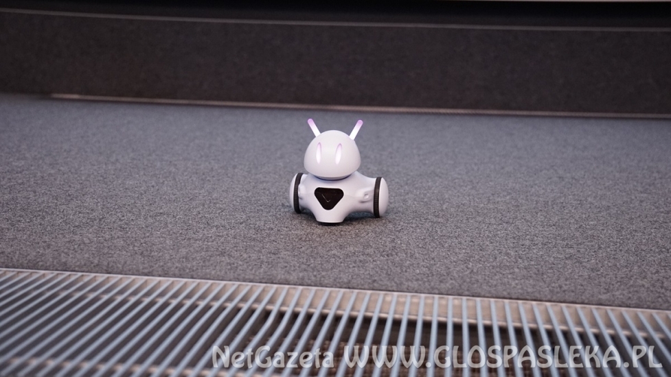 Akademia Nauk Stosowanych