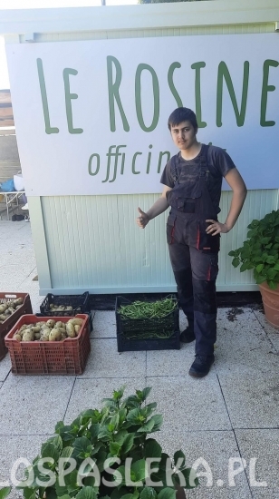 Powrót uczniów ZSEiT z Rimini