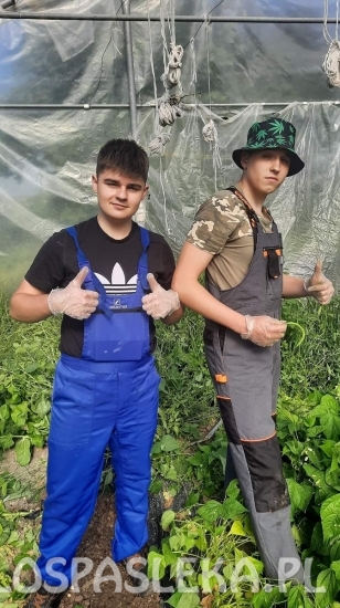 Powrót uczniów ZSEiT z Rimini