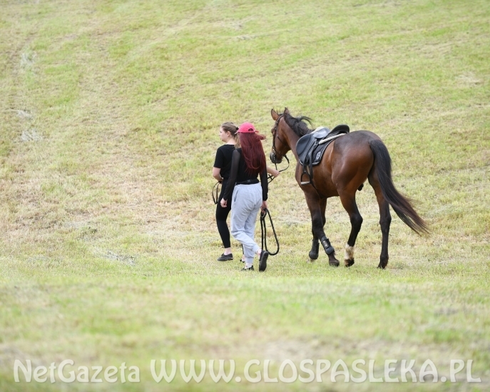 Amazonki MKJ Nenia wróciły z pucharami