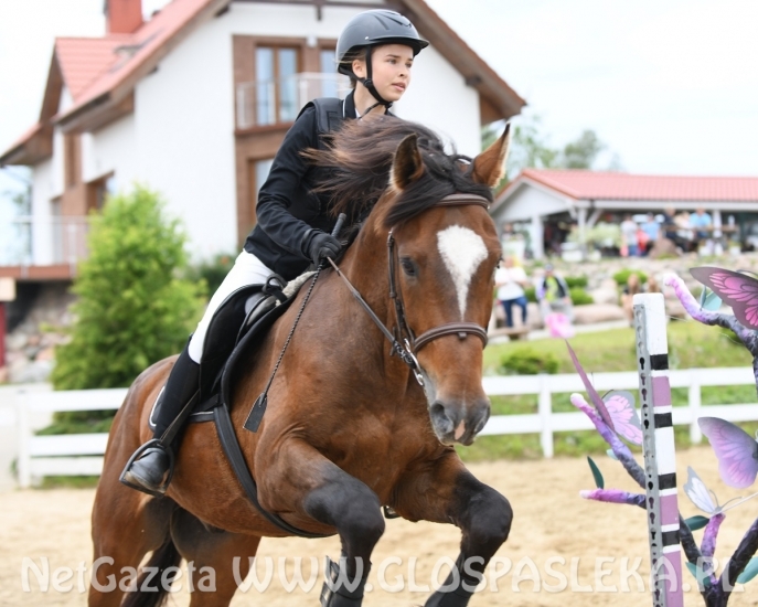 Amazonki MKJ Nenia wróciły z pucharami