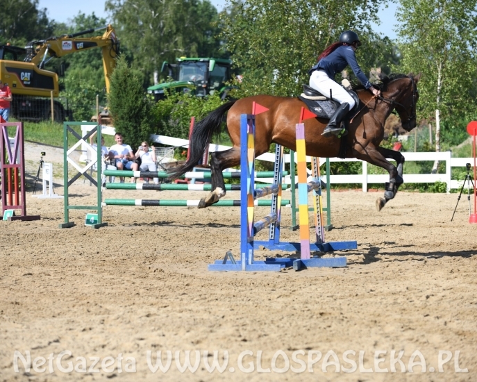 Amazonki MKJ Nenia wróciły z pucharami