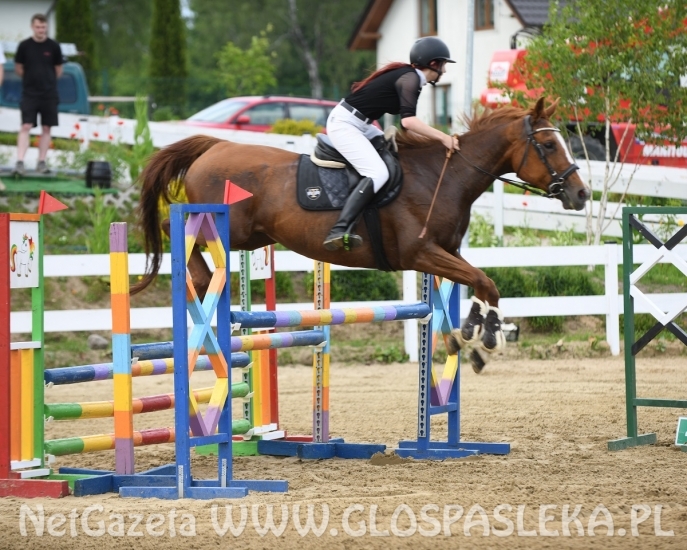 Amazonki MKJ Nenia wróciły z pucharami