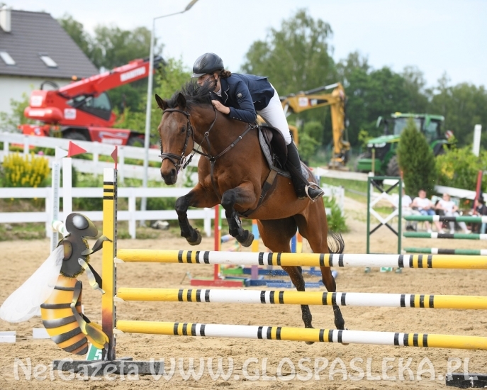 Amazonki MKJ Nenia wróciły z pucharami