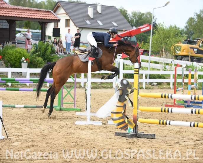 Amazonki MKJ Nenia wróciły z pucharami