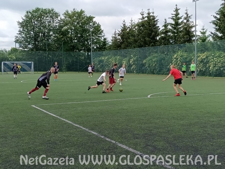 Turniej Piłki Siatkowej i Piłki Nożnej o Puchar Dyrektora ZSEiT