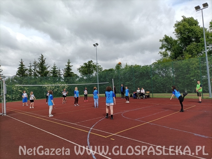 Turniej Piłki Siatkowej i Piłki Nożnej o Puchar Dyrektora ZSEiT