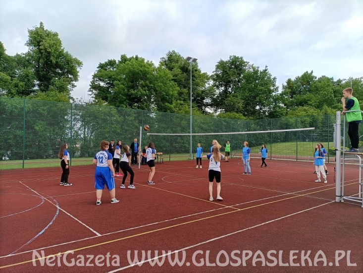 Turniej Piłki Siatkowej i Piłki Nożnej o Puchar Dyrektora ZSEiT