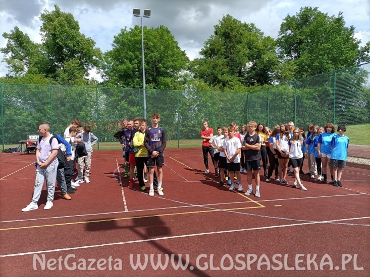 Turniej Piłki Siatkowej i Piłki Nożnej o Puchar Dyrektora ZSEiT