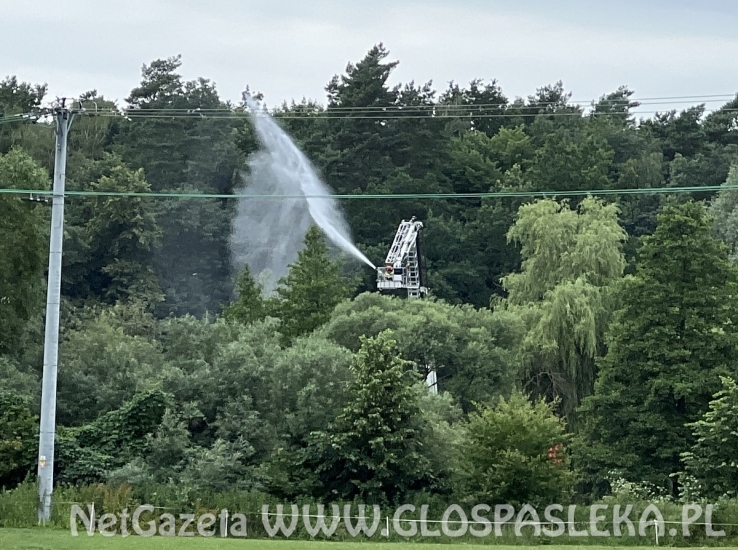 Bezpiecznie nad wodą – strażacy z myślą o dzieciach i młodzieży