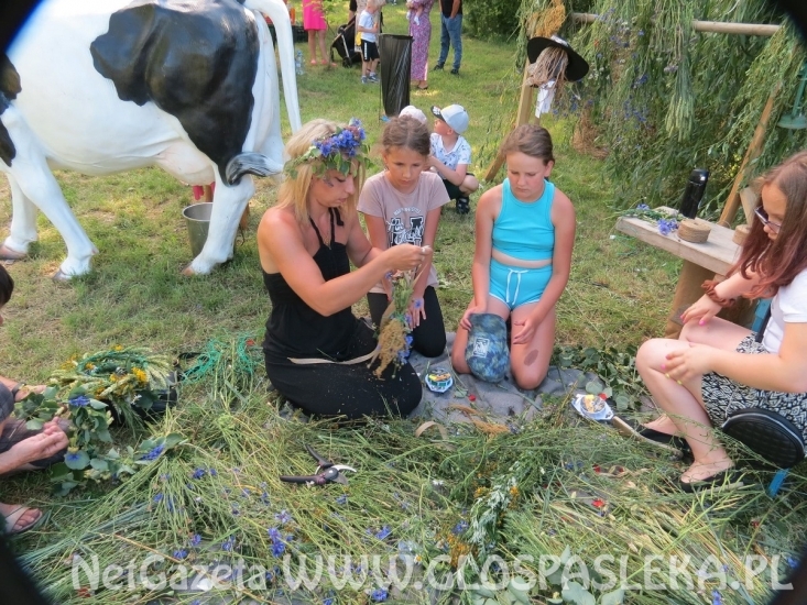 3 lipca w Godkowie odbyła się IV Palinocka.